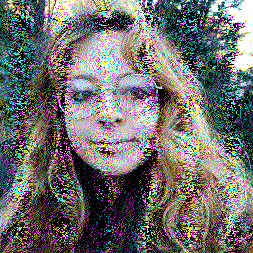 a dithered photo of a white woman with glasses and long hair. she's standing outside; the sun is setting in the background.