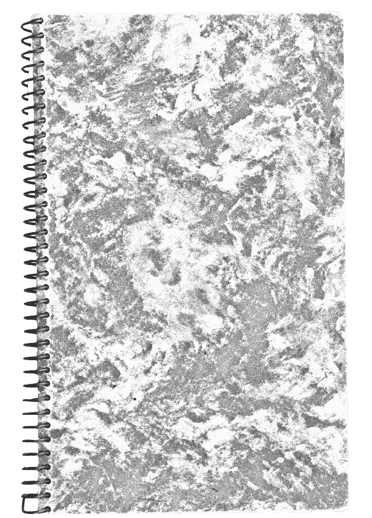 A ringbound notebook.